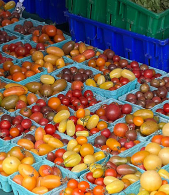 プラスチック製食品トレイ