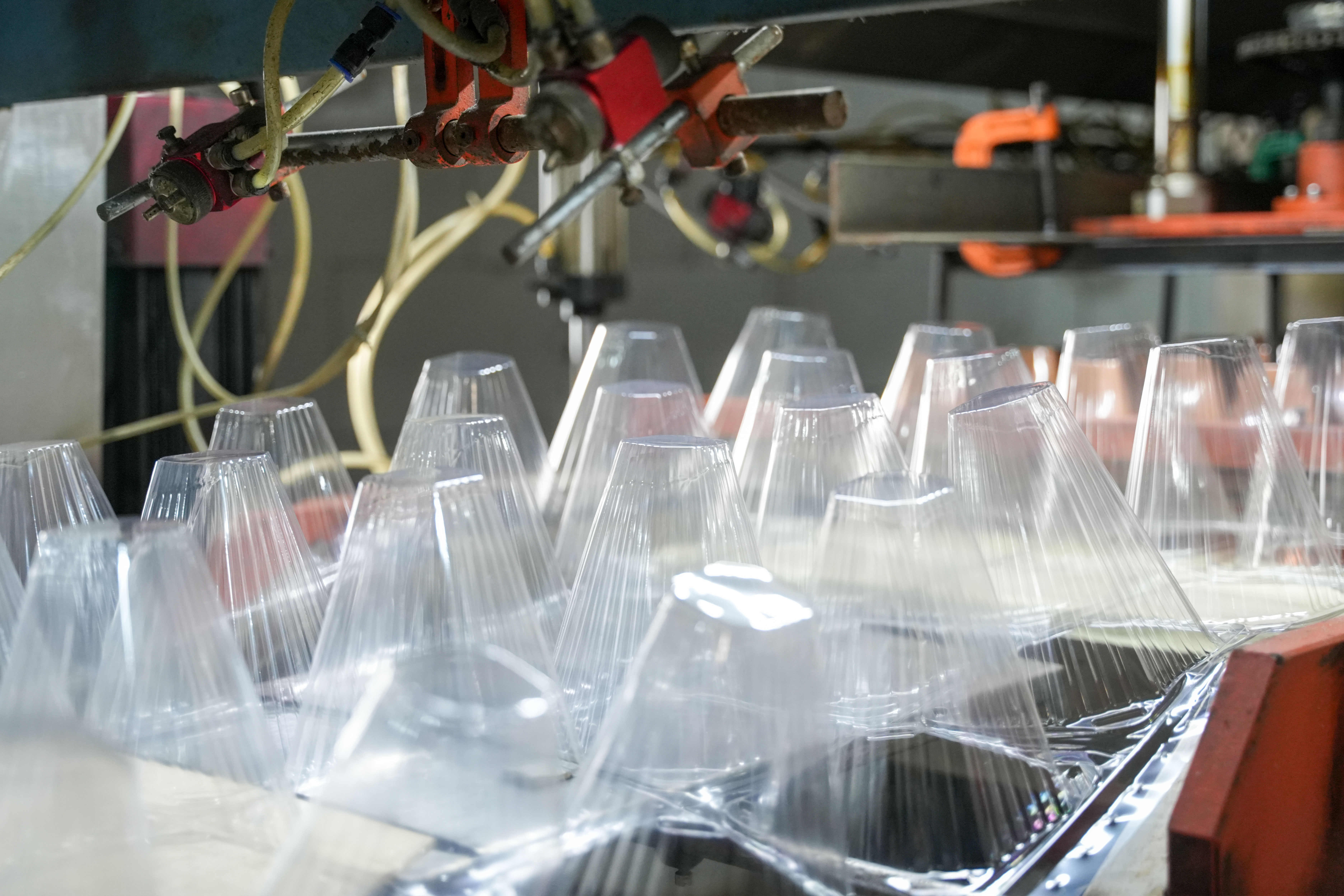 使い捨てプラスチック苗カバーはどのように害虫、昆虫、小動物から苗を守りますか?